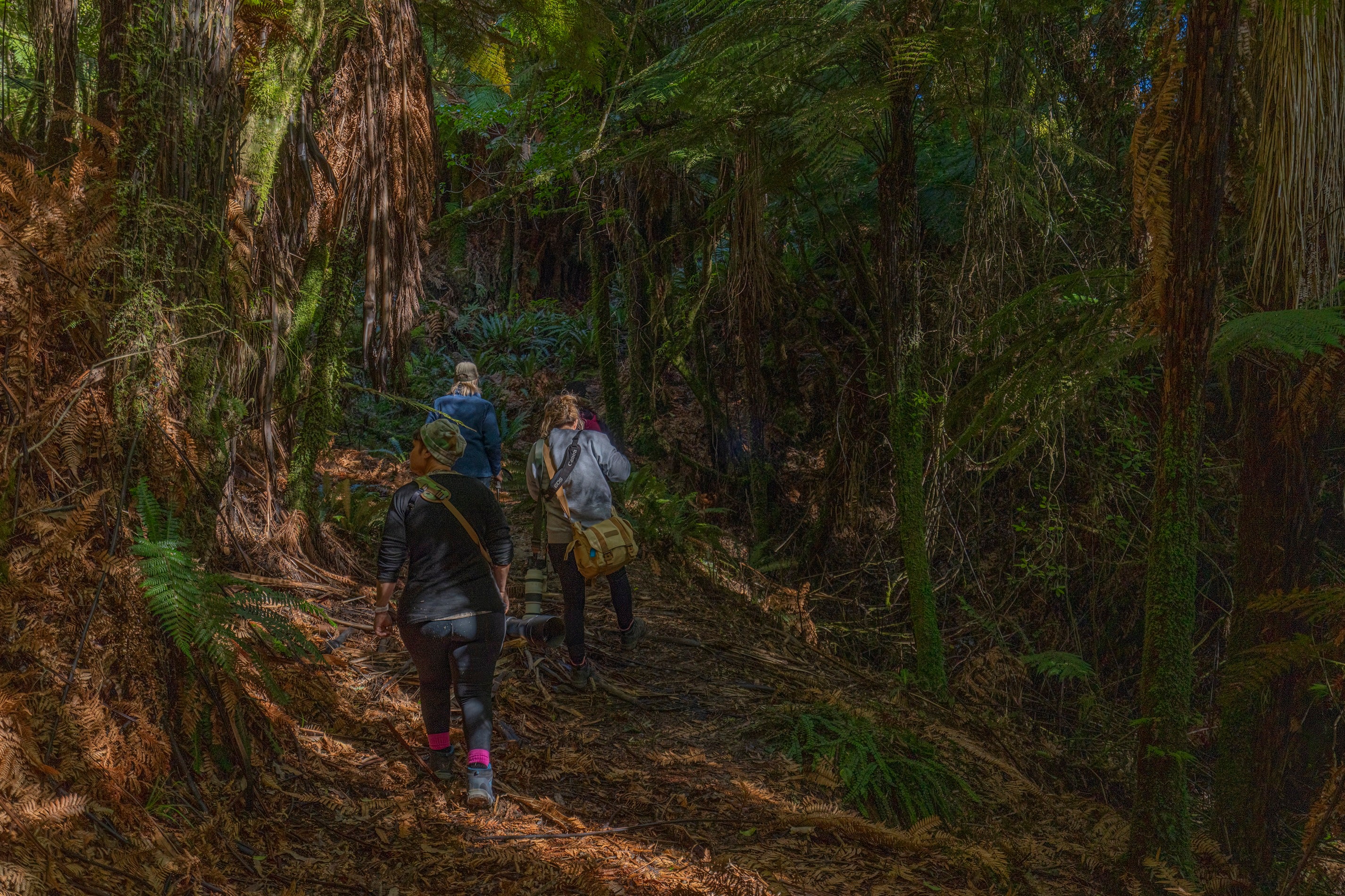 Multi-Day Private Walking Package