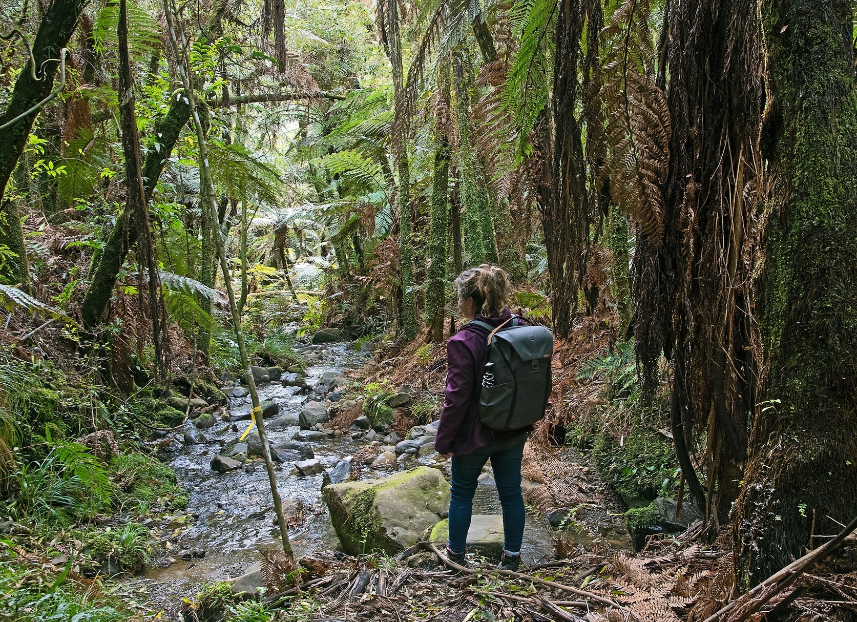 Multi-Day Private Walking Package